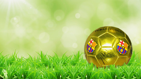 Футбольні м'ячі 209