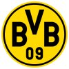 Перчатки Borussia Dortmund